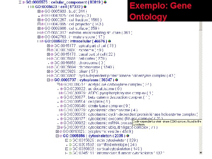Exemplo: Gene Ontology 