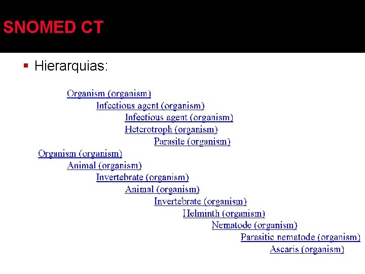 SNOMED CT § Hierarquias: 