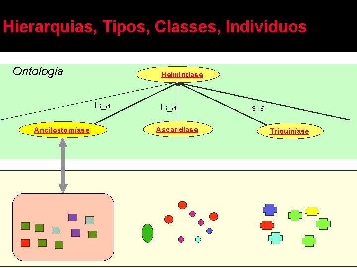 Hierarquias, Tipos, Classes, Indivíduos Ontologia Helmintíase Is_a Ancilostomíase Is_a Ascaridíase Is_a Triquiníase 