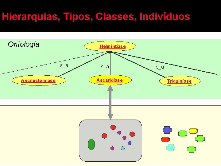 Hierarquias, Tipos, Classes, Indivíduos Ontologia Helmintíase Is_a Ancilostomíase Is_a Ascaridíase Is_a Triquiníase 