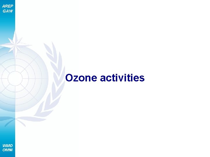 AREP GAW Ozone activities 