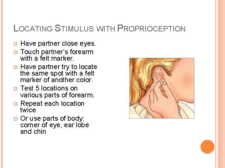 LOCATING STIMULUS WITH PROPRIOCEPTION Have partner close eyes. Touch partner’s forearm with a felt