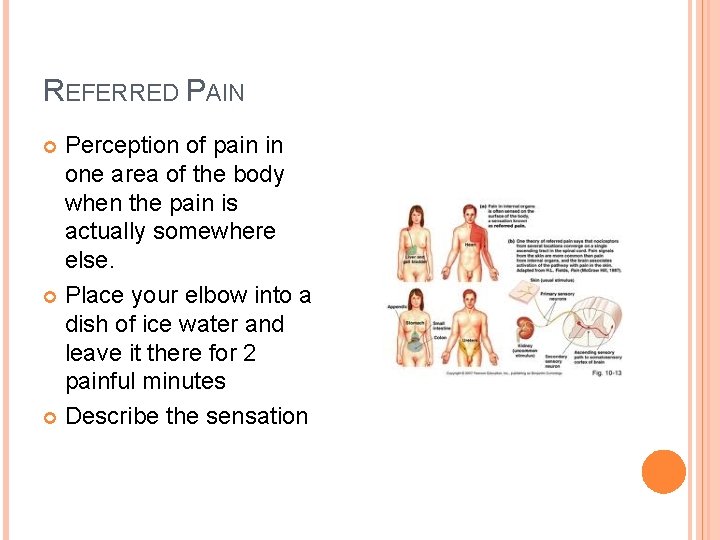 REFERRED PAIN Perception of pain in one area of the body when the pain