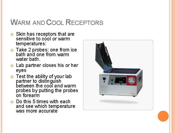 WARM AND COOL RECEPTORS Skin has receptors that are sensitive to cool or warm