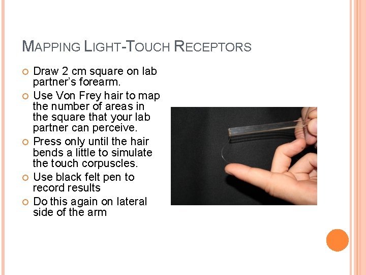 MAPPING LIGHT-TOUCH RECEPTORS Draw 2 cm square on lab partner’s forearm. Use Von Frey