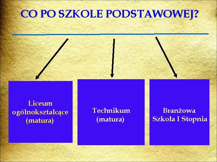 CO PO SZKOLE PODSTAWOWEJ? Liceum ogólnokształcące (matura) Technikum (matura) Branżowa Szkoła I Stopnia 