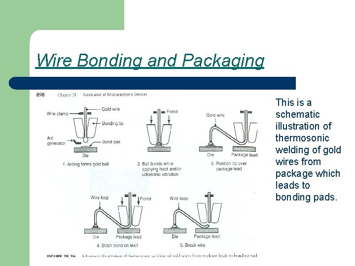 Wire Bonding and Packaging This is a schematic illustration of thermosonic welding of gold