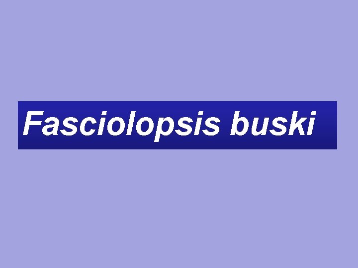 Fasciolopsis buski 