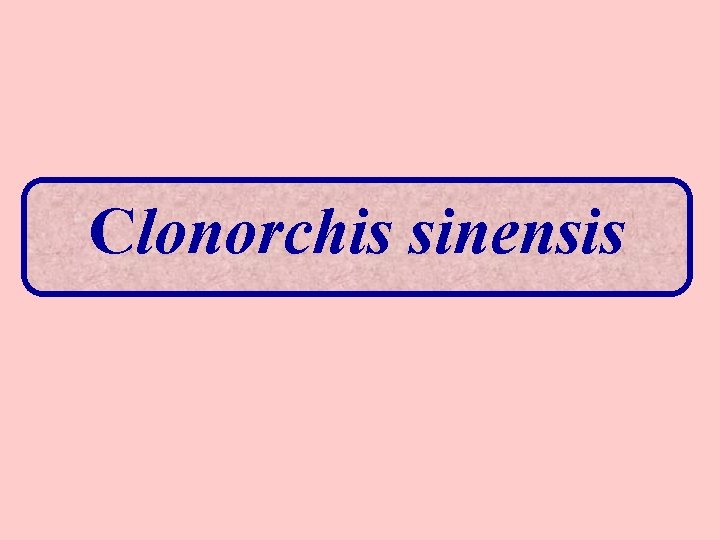 Clonorchis sinensis 