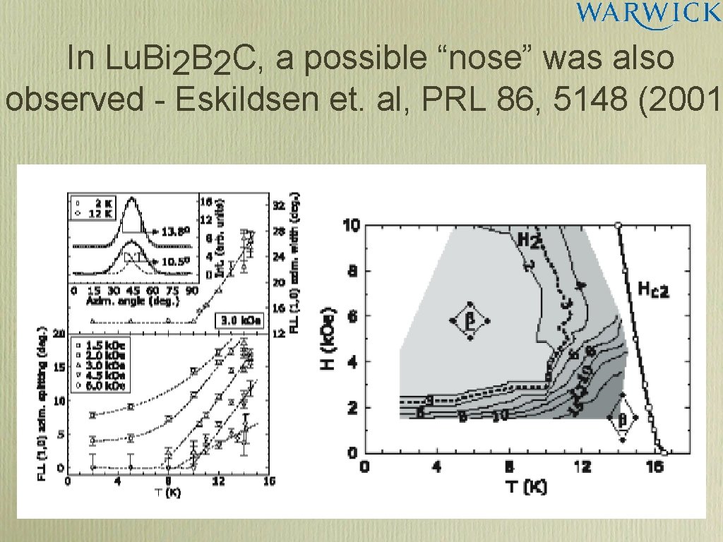 In Lu. Bi 2 B 2 C, a possible “nose” was also observed -