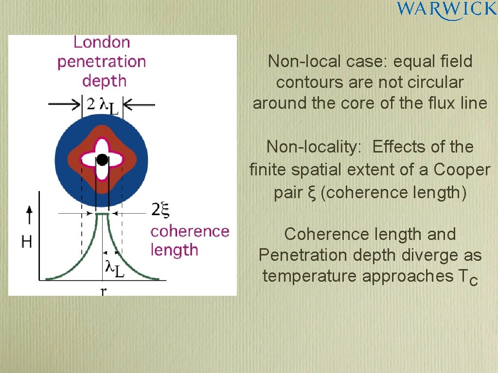 Non-local case: equal field contours are not circular around the core of the flux