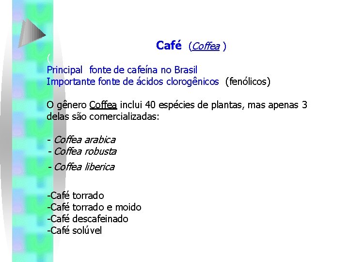 Café (Coffea ) ( Principal fonte de cafeína no Brasil Importante fonte de ácidos Café (Coffea ) ( Principal fonte de cafeína no Brasil Importante fonte de ácidos
