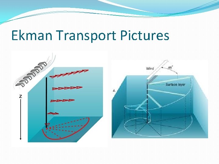Ekman Transport Pictures 