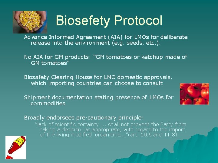 Biosefety Protocol Advance Informed Agreement (AIA) for LMOs for deliberate release into the environment