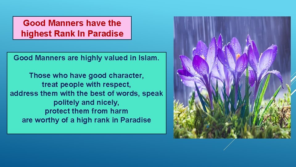 Good Manners have the highest Rank In Paradise Good Manners are highly valued in