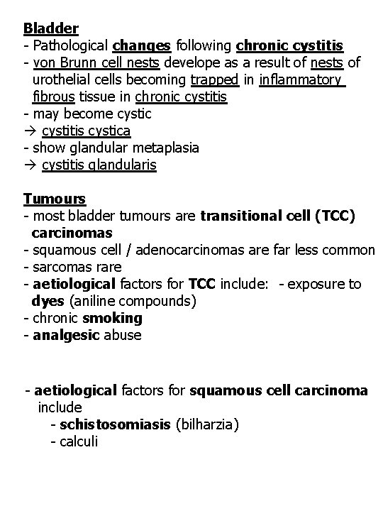 Bladder - Pathological changes following chronic cystitis - von Brunn cell nests develope as