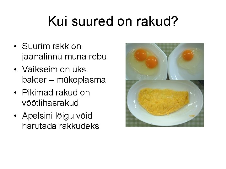 Kui suured on rakud? • Suurim rakk on jaanalinnu muna rebu • Väikseim on