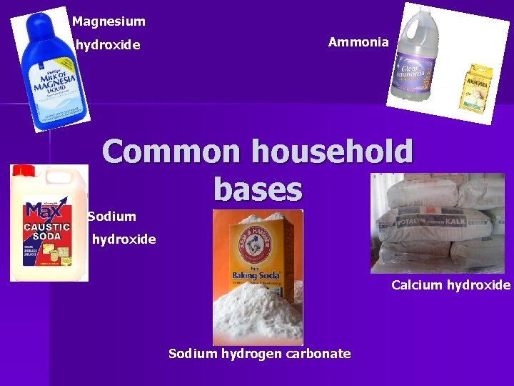 Magnesium hydroxide Ammonia Common household bases Sodium hydroxide Calcium hydroxide Sodium hydrogen carbonate 