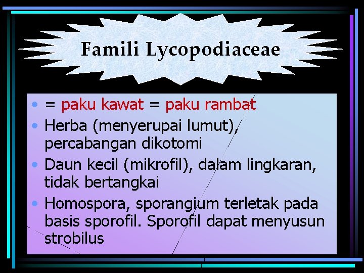 Famili Lycopodiaceae • = paku kawat = paku rambat • Herba (menyerupai lumut), percabangan