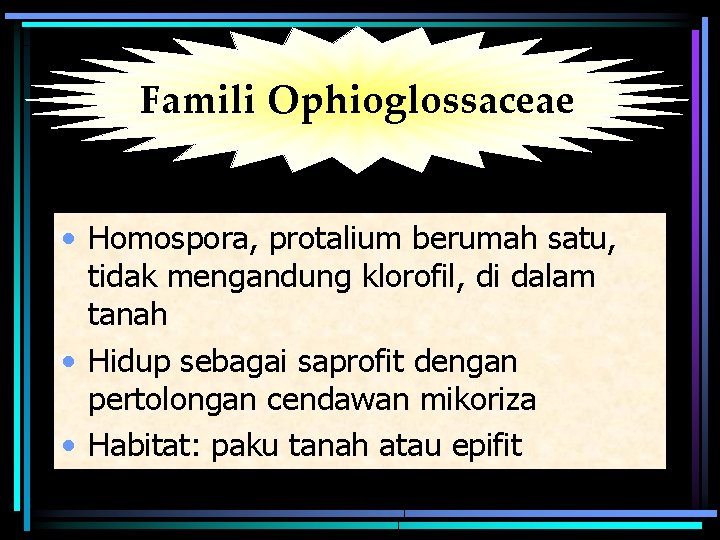Famili Ophioglossaceae • Homospora, protalium berumah satu, tidak mengandung klorofil, di dalam tanah •