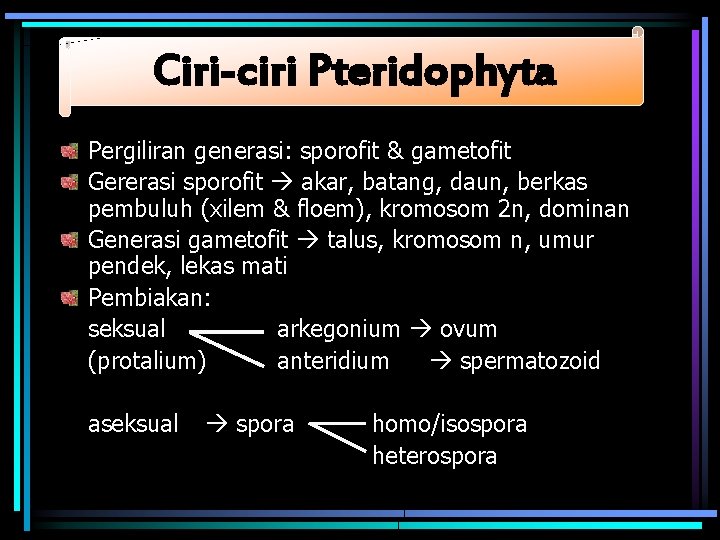 Ciri-ciri Pteridophyta Pergiliran generasi: sporofit & gametofit Gererasi sporofit akar, batang, daun, berkas pembuluh