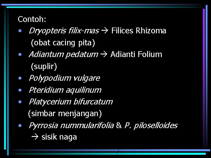 Contoh: • Dryopteris filix-mas Filices Rhizoma (obat cacing pita) • Adiantum pedatum Adianti Folium