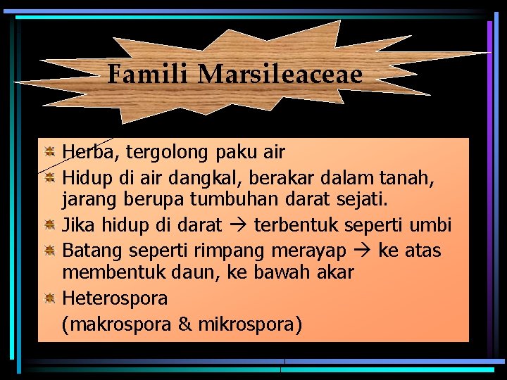 Famili Marsileaceae Herba, tergolong paku air Hidup di air dangkal, berakar dalam tanah, jarang