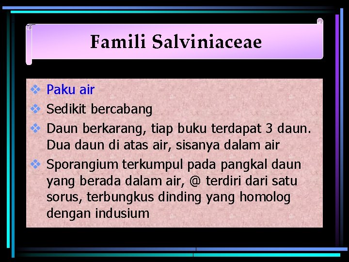 Famili Salviniaceae v Paku air v Sedikit bercabang v Daun berkarang, tiap buku terdapat