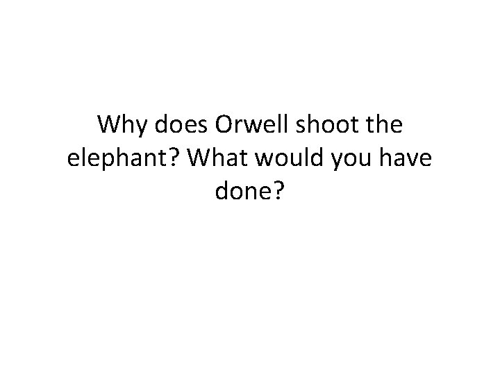 Why does Orwell shoot the elephant? What would you have done? 