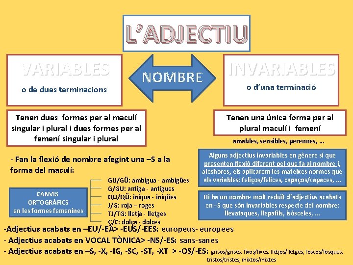 L’ADJECTIU VARIABLES o de dues terminacions NOMBRE Tenen dues formes per al maculí singular L’ADJECTIU VARIABLES o de dues terminacions NOMBRE Tenen dues formes per al maculí singular
