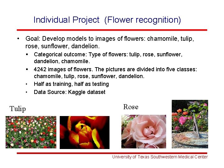 Individual Project (Flower recognition) • Goal: Develop models to images of flowers: chamomile, tulip,
