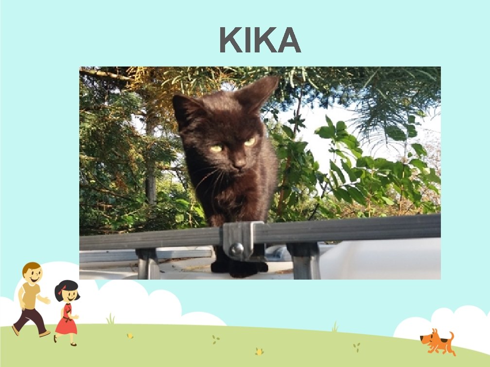 KIKA 