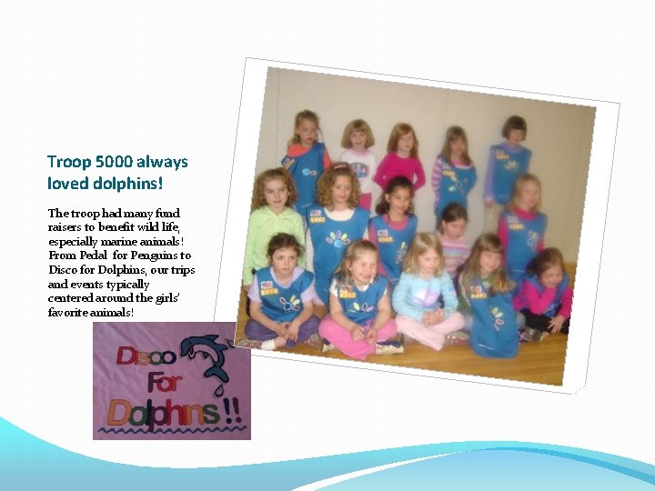 Troop 5000 always loved dolphins! The troop had many fund raisers to benefit wild