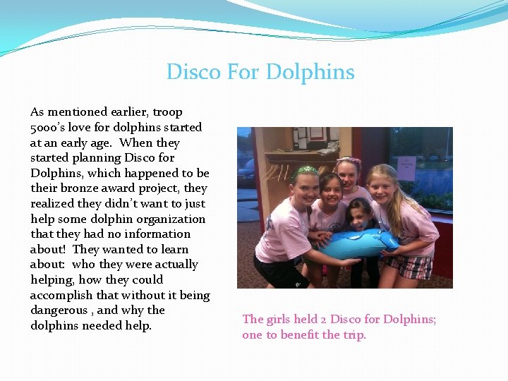 Disco For Dolphins As mentioned earlier, troop 5000’s love for dolphins started at an