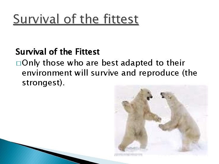 Survival of the fittest Survival of the Fittest � Only those who are best