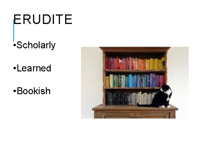 ERUDITE • Scholarly • Learned • Bookish 