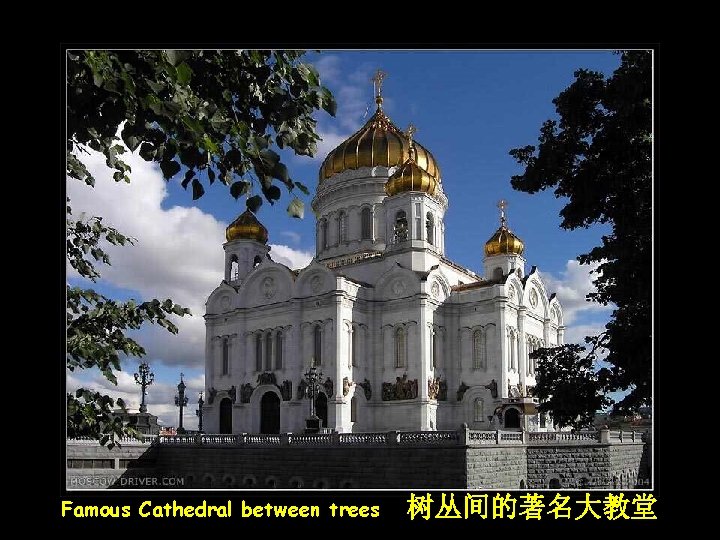 Famous Cathedral between trees 树丛间的著名大教堂 