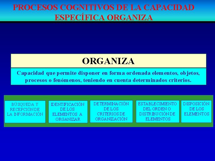 PROCESOS COGNITIVOS DE LA CAPACIDAD ESPECÍFICA ORGANIZA Capacidad que permite disponer en forma ordenada