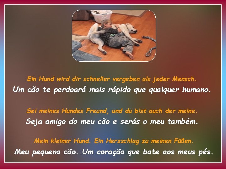 Ein Hund wird dir schneller vergeben als jeder Mensch. Um cão te perdoará mais