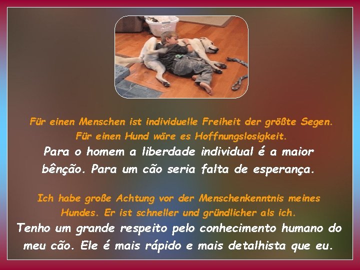 Für einen Menschen ist individuelle Freiheit der größte Segen. Für einen Hund wäre es