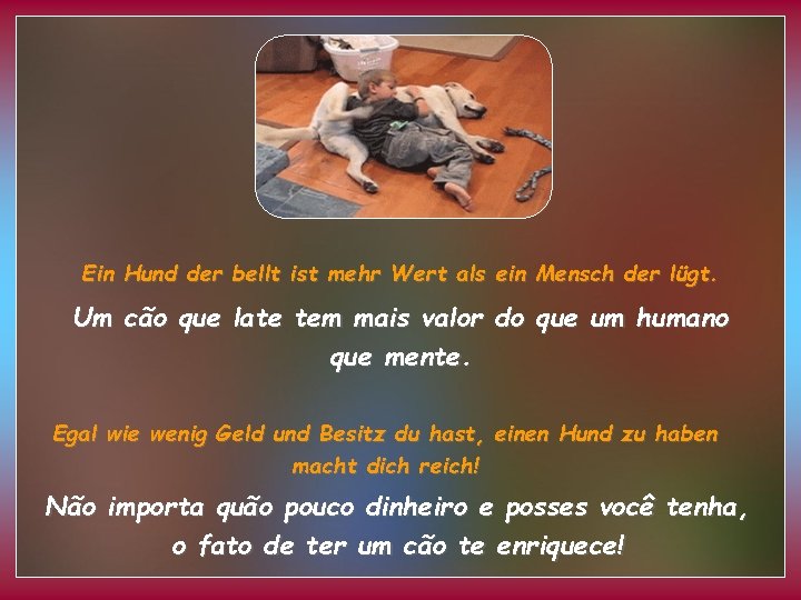 Ein Hund der bellt ist mehr Wert als ein Mensch der lügt. Um cão