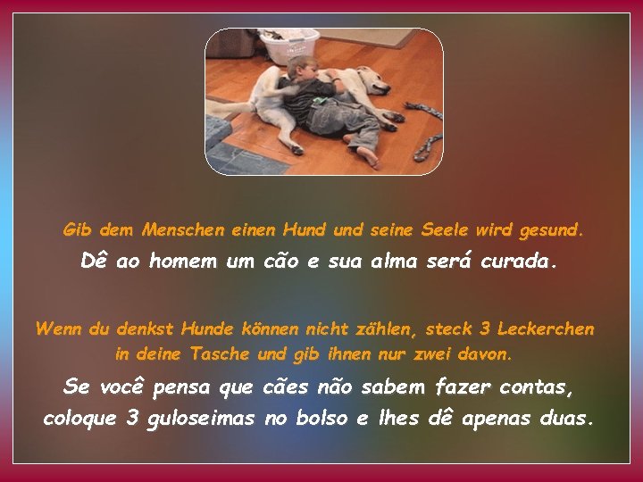 Gib dem Menschen einen Hund seine Seele wird gesund. Dê ao homem um cão