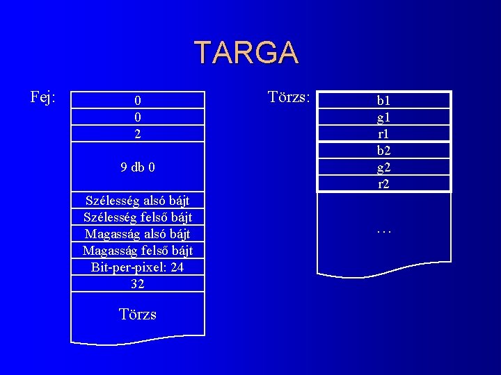 TARGA Fej: 0 0 2 9 db 0 Szélesség alsó bájt Szélesség felső bájt