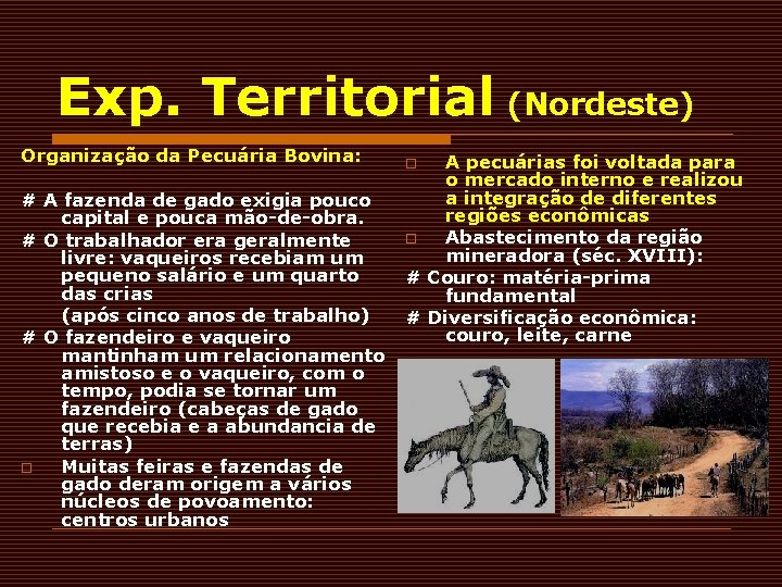 Exp. Territorial (Nordeste) Organização da Pecuária Bovina: # A fazenda de gado exigia pouco Exp. Territorial (Nordeste) Organização da Pecuária Bovina: # A fazenda de gado exigia pouco