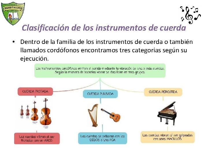 Clasificación de los instrumentos de cuerda • Dentro de la familia de los instrumentos