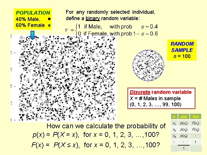 POPULATION 40% Male, 60% Female For any randomly selected individual, define a binary random