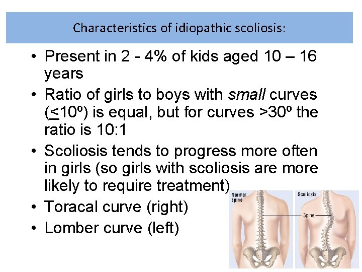 Characteristics of idiopathic scoliosis: • Present in 2 - 4% of kids aged 10