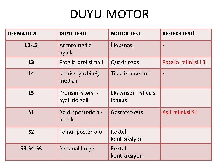 DUYU-MOTOR DERMATOM DUYU TESTİ MOTOR TEST REFLEKS TESTİ Anteromedial uyluk İliopsoas - L 3