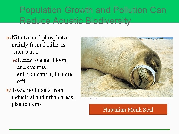 Population Growth and Pollution Can Reduce Aquatic Biodiversity Nitrates and phosphates mainly from fertilizers