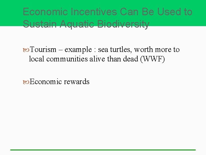 Economic Incentives Can Be Used to Sustain Aquatic Biodiversity Tourism – example : sea